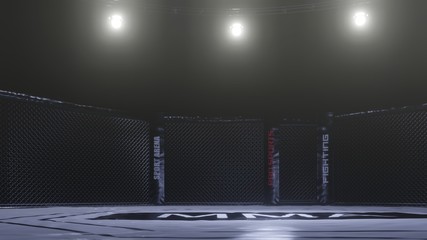 Mma arena side view. Empty fight cage under lights. 3D rendering  © EDUART