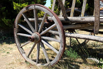 Fototapeta na wymiar Wheel of old vintage wooden cart in the garden