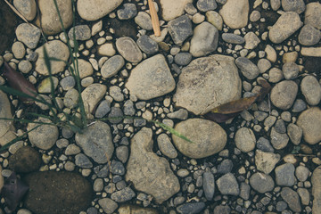 Stone for Background and Texture