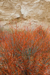 Bardenas Reales, Navarra, Spain, Europe