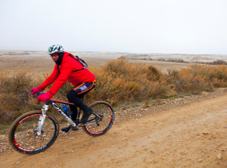 Obraz premium Bardenas Reales, Navarra, Spain, Europe