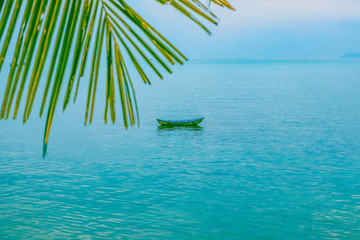A branch of palm trees and a boat in the sea
