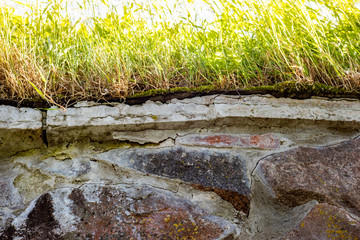 The texture of the old stone wall of large cobblestones overgrown with grass