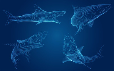 3d vector set. ocean protection. great white shark.