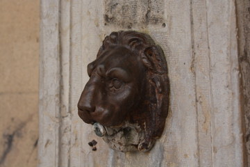 Fototapeta na wymiar Entre lion et fontaine