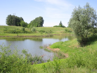 Lake surrounded by trees