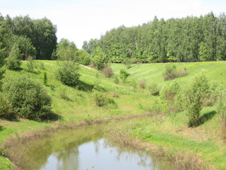 Lake surrounded by trees