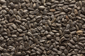Sunflower seeds, back ground or texture, high detail