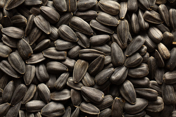 Sunflower seeds, back ground or texture, high detail