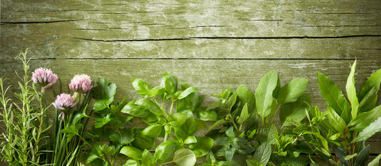 Large selection of fresh culinary herbs on wood