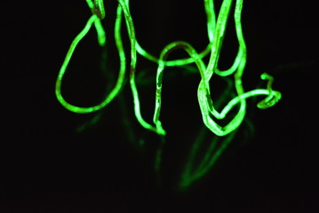 Toxic green lime lighting with a specific pattern. Woven filaments, cable, wires with outgoing light. Neon electroluminescent wire in the form of night lighting.