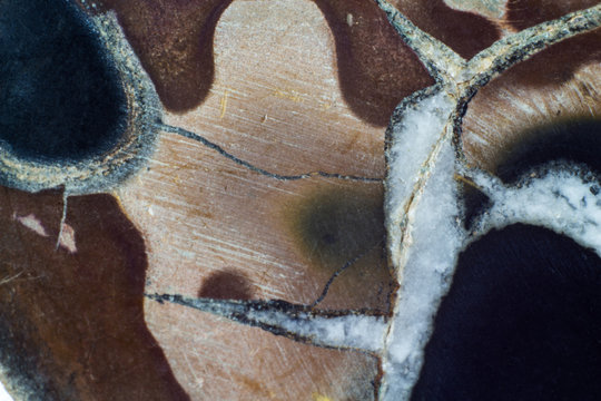 Close up shoot of natural mineral septaria with marks of polish
