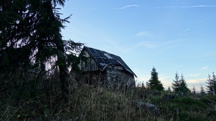 rysia4 © Jacek