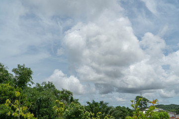Obraz premium Garden and sky