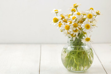 Chamomile. Medicinal little chamomile flowers in a vase on a white wooden table. space for text