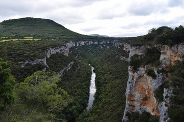 Fototapeta na wymiar Río pasando a través de montañas y un bosque.