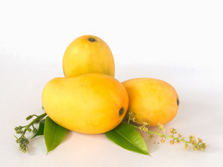 mango and leaf on white background