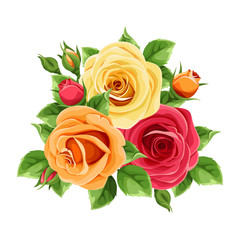 Vector red, orange and yellow roses isolated on a white background.