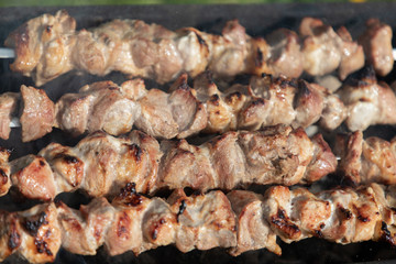 bake tasty meat in a green meadow