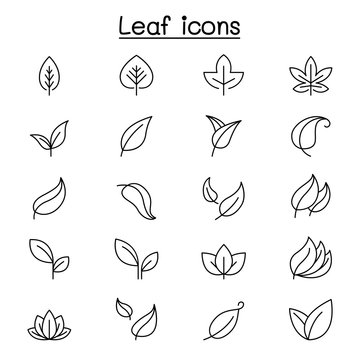 Leaf icon set in thin line style