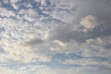 Fototapeta premium Natureza