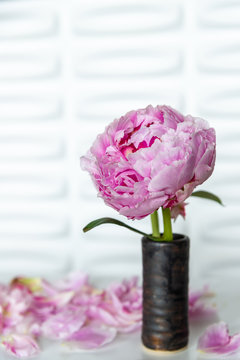 Two Pink Peony Flowers in Brown Hand made Earthenware Pottery Vase Surrounded by Loose Pink Petals from Multiple Peonies- Full Blooming Peonies with Loose Petals - Fresh Summer Floral Arrangement