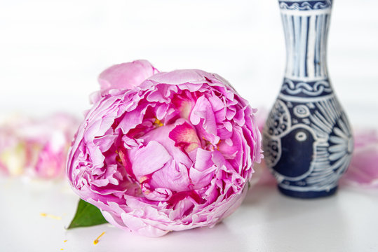 Closeup Pink Peony Flower Bloom Flay Lay Next to Hand Painted Greek Style Bud Vase with Peace Dove  - Full Blooming Peonies with Loose Petals - Fresh Summer Floral Modern Fresh Feminine Decor