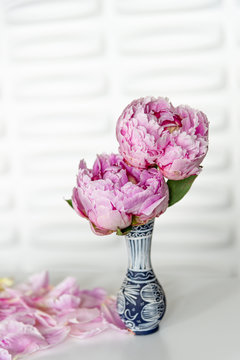 Two Pink Peony Flowers Blooming in Greek Islands Style Blue and White Hand Painted Bud Vase with Peace Dove - Full Blooming Peonies with Loose Petals - Fresh Summer Floral Arrangement