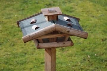 Vogelhaus im Sommer