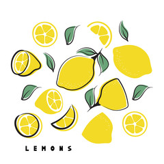 Set of lemon fruits isolated on white background.