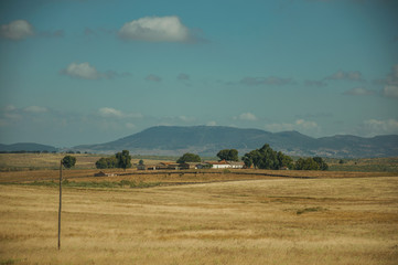 Rural landscape with cultivated fields near the Monfrague National Park