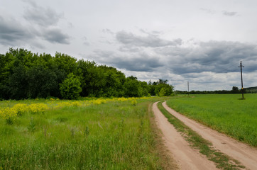 Fototapeta na wymiar landscape rain clouds over a green field and country road