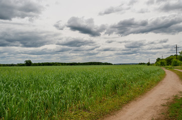 landscape rain clouds over a green field and country road