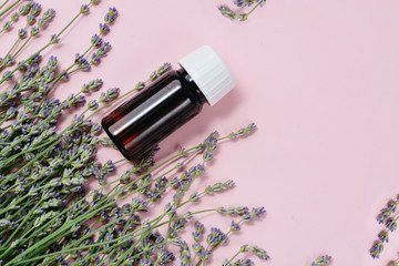 Natural cosmetics. Fresh lavender flowers and bottle essential oil on pink background. Alternative home medicine. Natural Serums. Flat lay, top view, copy space