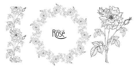 vector floral arrangement with rose flowers and rose buds