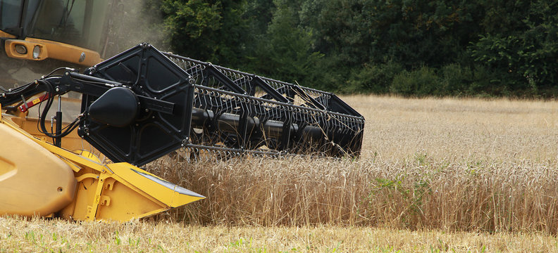 Rouleau de moissonneuse-batteuse