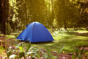 tent in the forest