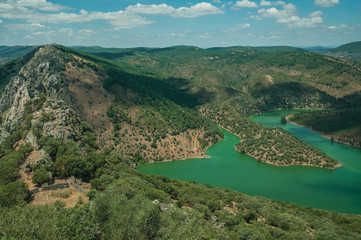 Fototapeta na wymiar Tagus River running through a valley with hills covered by trees