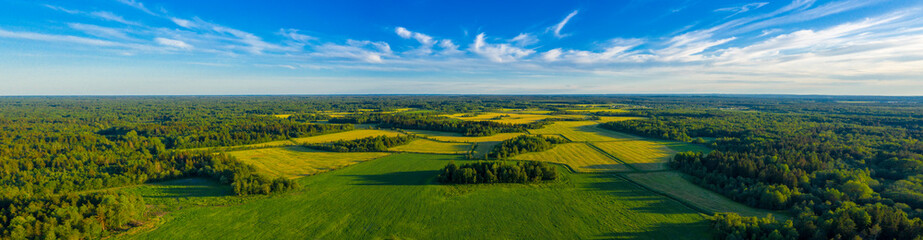 Top aerial panoramic view of green fields and meadows in summer. Abstract landscape with lines of fields, grass, trees, sunny sky and lush foliage. Landscape with drone. - obrazy, fototapety, plakaty