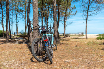 BASSIN D'ARCACHON (France), accès à la plage du Petit Nice
