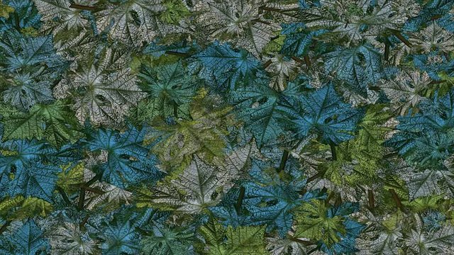 Animacion con hojas de parra con peciolo y efecto de colores metalizados. Brotando desde los bordes hacia el interior hasta cubrir la pantalla. Con canal Alpha