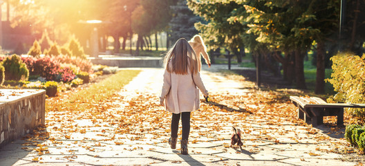 Blond girl walking with cute puppy on the sunshine autumn park alley