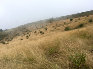 Fototapeta premium Thick mist storm pass dry grass meadow on the mountain in winter season.