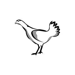 Chicken logo stock, Chicken silhouette, flat design