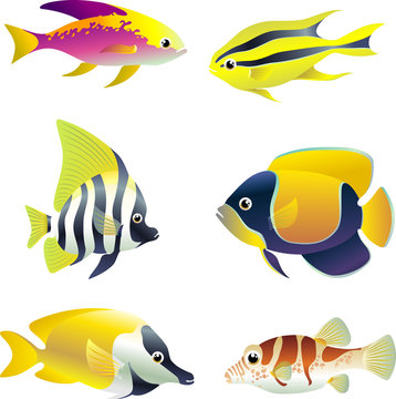 Underwater Tropical Fishes Set
