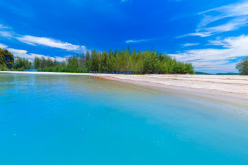 Beautiful sandy beaches and pine tree views at Paradise Islandin krabi Thailand