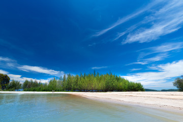 Beautiful sandy beaches and pine tree views at Paradise Islandin krabi Thailand