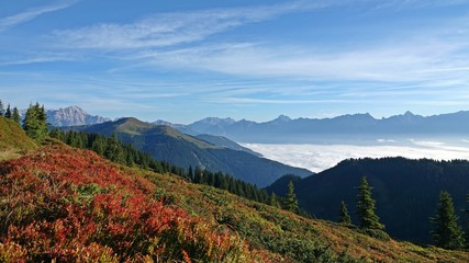 Fototapeta premium sunny morning in the mountains with a beautiful view to the alps 