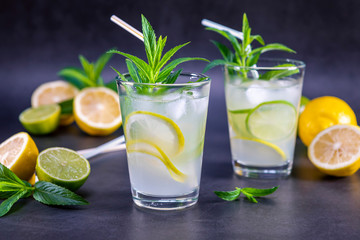Cold refreshing summer lemonade with mint in a glass