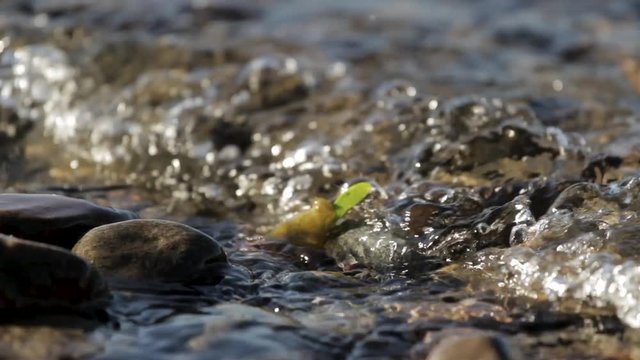 Close Up Of Calm Lake Waves Washing Over Stones And Green Leaf In Shallow Water Near Shore